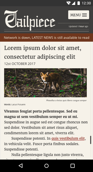 Son kısım, kullanıcıya çevrimdışı olduğunu bildirmek için çeşitli tasarım widget'ları kullanır.
